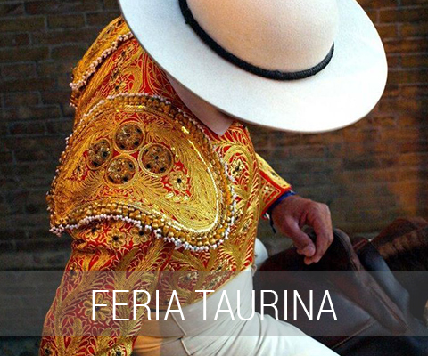 Entradas Toros León