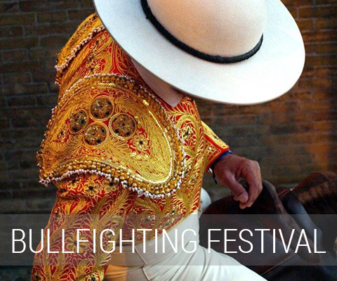 León Arena bulls tickets