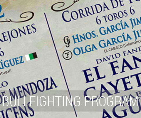 León Arena bullfighting poster